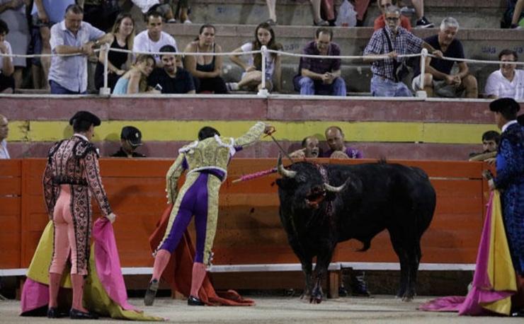 Imaxe dunha corrida de touros en Palma. 