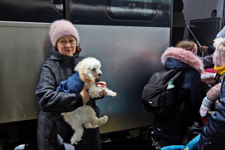 Moitos dos refuxiados ucraínos aos que se lles está dando acollida chegaron acompañados dos seus propios animais de compañía 