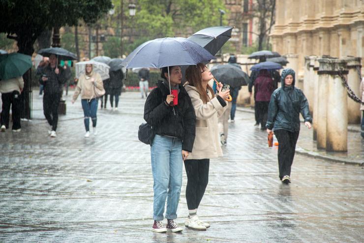Varias persoas protéxense da choiva baixo os seus paraugas / María José López - Arquivo