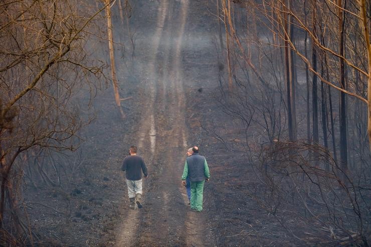 Axentes dos equipos de bombeiros traballan no lugar do incendio, a 8 de febreiro de 2024, en Trabada / Carlos Castro - Arquivo