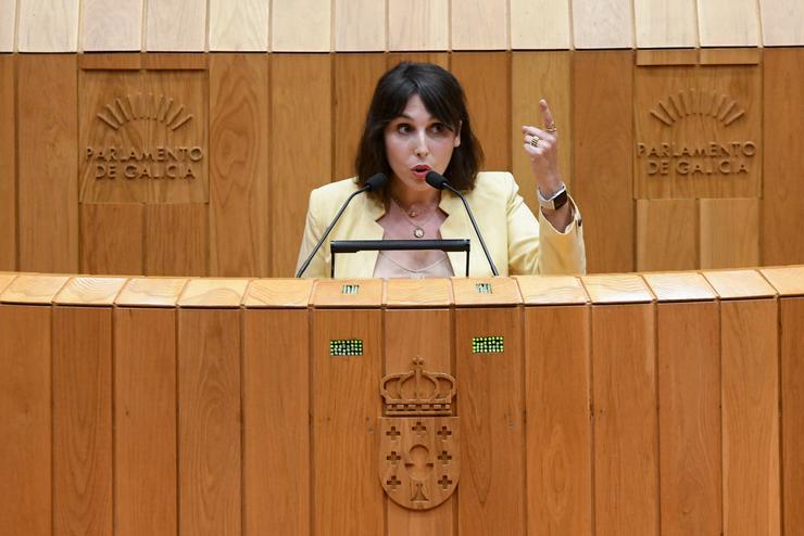 A conselleira de Economía e Industria, María Jesús Lorenzana, durante unha intervención no pleno do Parlamento galego / MONICA ARCAY - XUNTA
