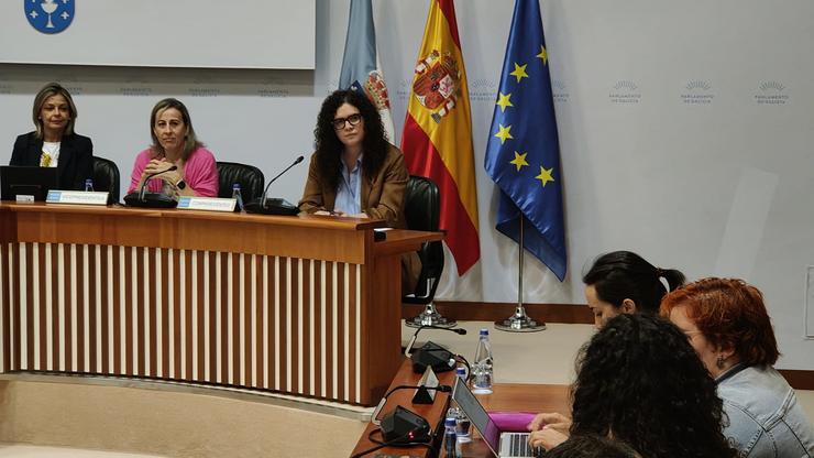 A directora xeral de Promoción dá Igualdade, María Quintiana, comparece na Comisión 5ª do Parlamento de Galicia.. XUNTA / Europa Press