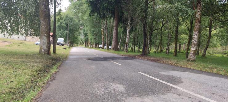 Lugr do accidente onde o coche bateu contra unha árbore e comezou a arder / vozmelgaco.com