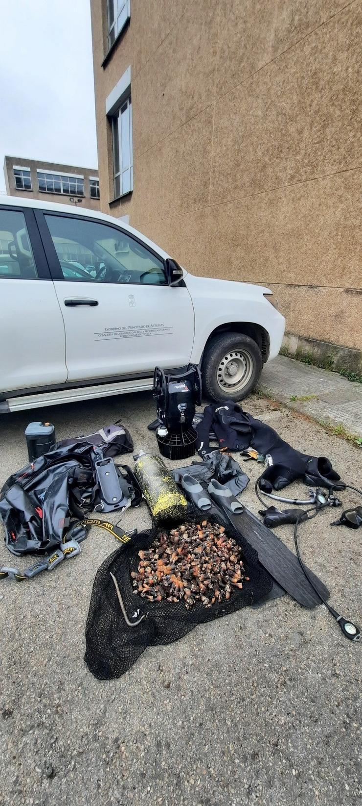 Percebes e Material comisado en Cabo Penas / GOBERNO DE ASTURIAS