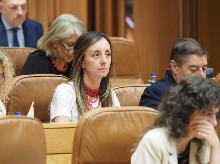 A deputada socialista Paloma Castro durante un pleno na Cámara galega /-PSDEG