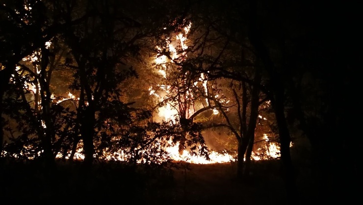 Incendio en Serra de San Madede (Ourense) 