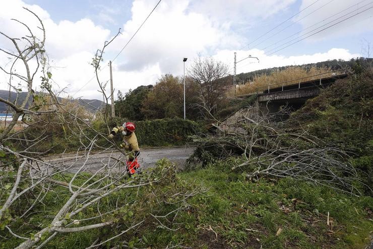 Un operario traballa na recollida da vexetación caída nunha zona situada en Redondela, Pontevedra 