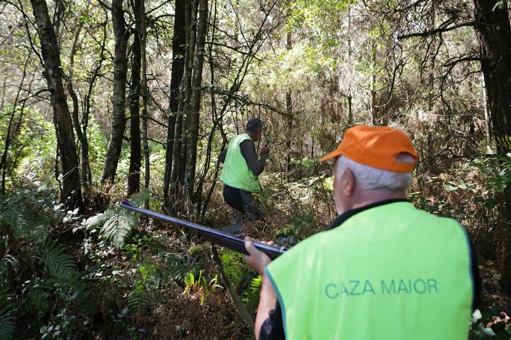 Arquivo - Batida dun xabaril durante a emerxencia cinexética, a 29 de setembro de 2023, no Concello de Portomarin, Lugo, Galicia (España). A Xunta rexistrou un total de 131 peticións de batidas de xabaril en once días de emerxencia cinexética. Carlos Castro - Europa Press - Arquivo / Europa Press