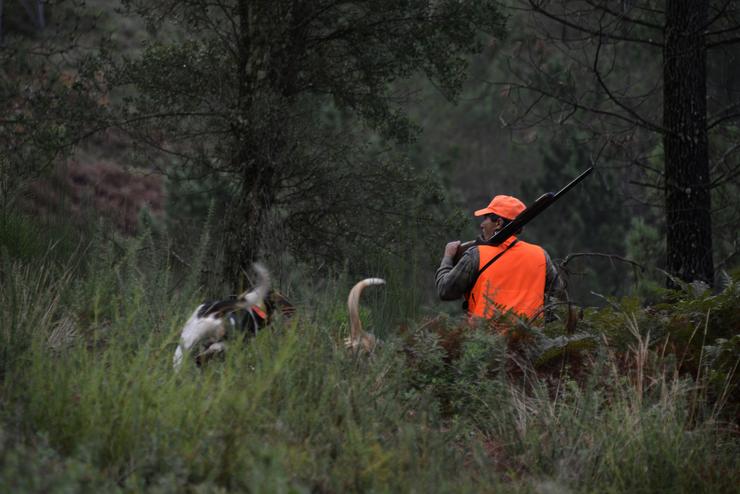 Un cazador nos montes de Cameixa, no municipio ourensán de Boborás, durante o primeiro día de declaración de emerxencia cinexética en Galicia, que permite cazar xabarís sen límite ata febreiro 