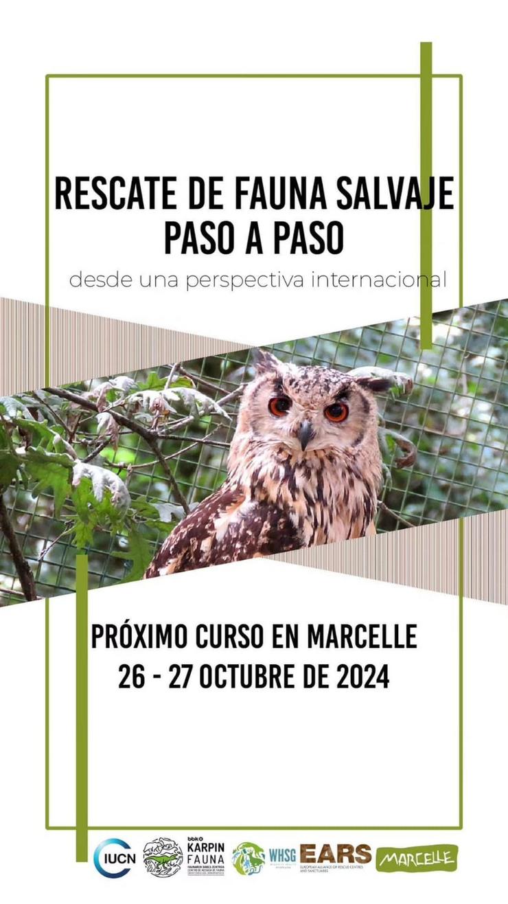 O curso Rescate de fauna salvaxe paso a paso