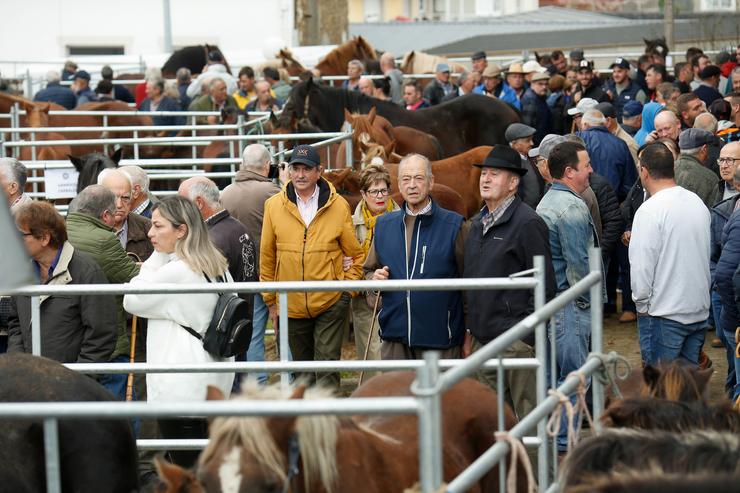 Feira de gando das San Lucas, a 18 de outubro de 2024, nas Lucas, Mondoñedo / Carlos Castro - Arquivo