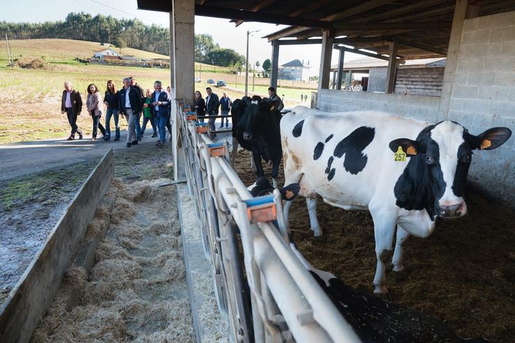 Rueda, durante a súa visita á explotación gandeira Graña Camba 