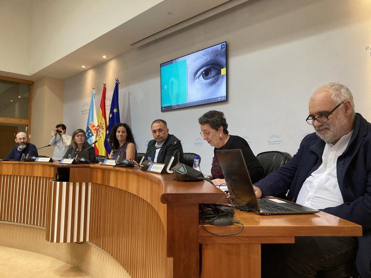 A presidenta do Consello da Cultura Galega (CCG), Rosario Álvarez, comparece no Parlamento. CCG 