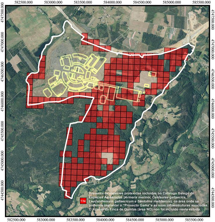 Presenza de especies protexidas no lugar onde se pretende construír o complexo de Altri -Greenfiber en Palas de Rei 