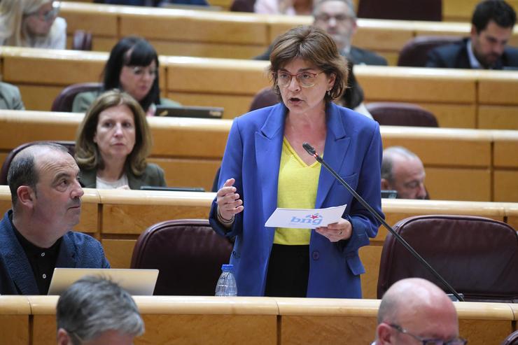 Arquivo - A senadora do BNG, María Carmen Dá Silva Méndez, durante unha sesión de control ao Goberno, no Senado, a 11 de xuño de 2024, en Madrid (España). Trátase da primeira sesión de control ao Goberno tras celebrarse as eleccións europeas d. Fernando Sánchez - Europa Press - Arquivo 