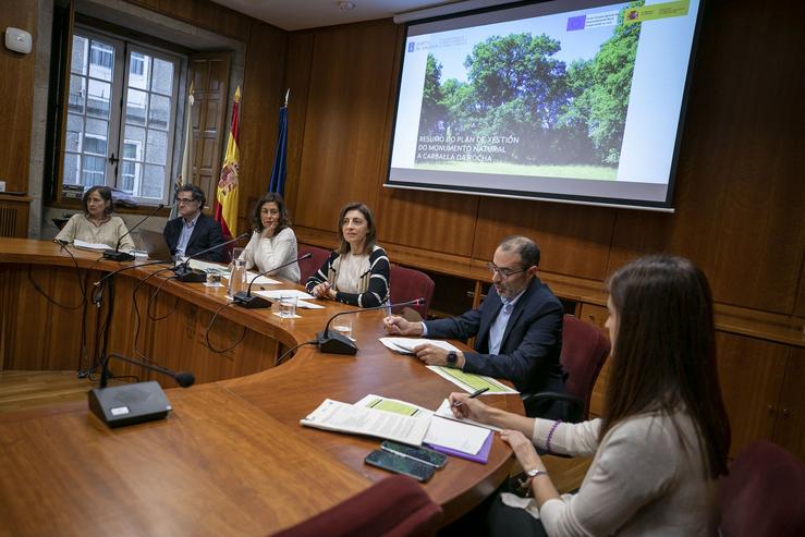 A conselleira de Medio Ambiente e Cambio Climático, Anxos Vázquez, preside a reunión do Consello Galego de Medio Ambiente e Desenvolvemento Sostible (Cogamads), a 15 de novembro de 2024. ANA VARELA 