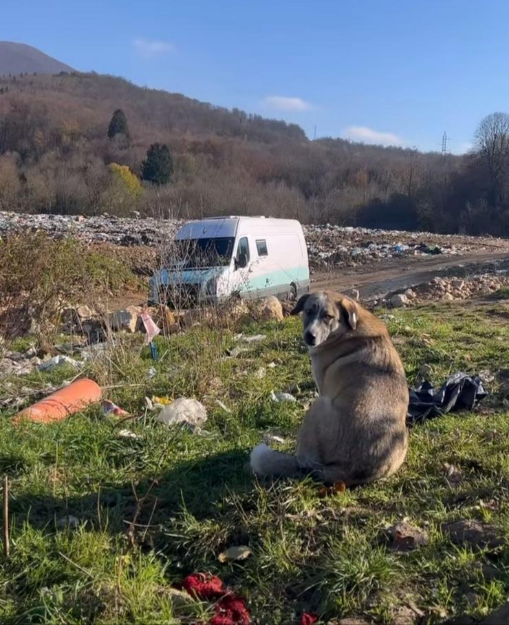 Can da rúa nun vertedoiro 