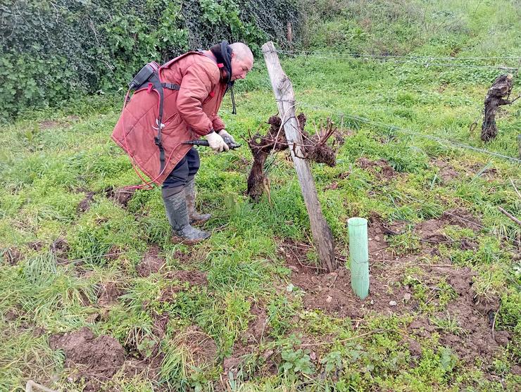 Raquel Biscaia, viticultora no Bolo, coa súa propia marca de viños naturais / Campo Galego