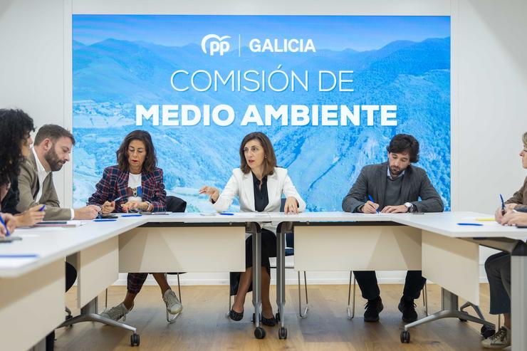 Comisión de Medio Ambiente do PPdeG 