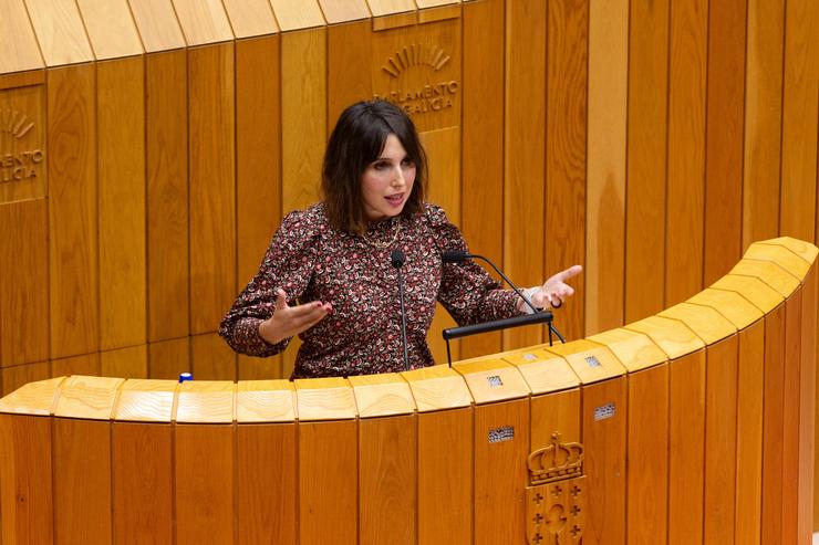 A conselleira de Economía e Industria, María Jesús Lorenzana, no pleno do Parlamento. XUNTA