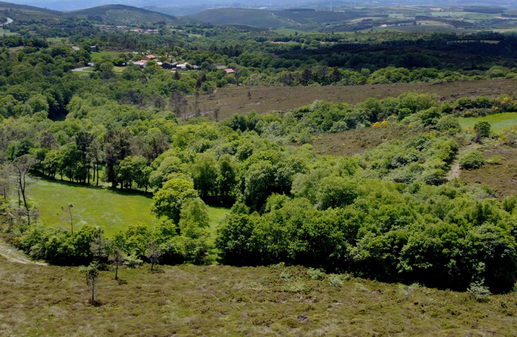 Lugar onde se quere facer un proxecto eólico en Terra de Montes, paralizado polo TSXG 