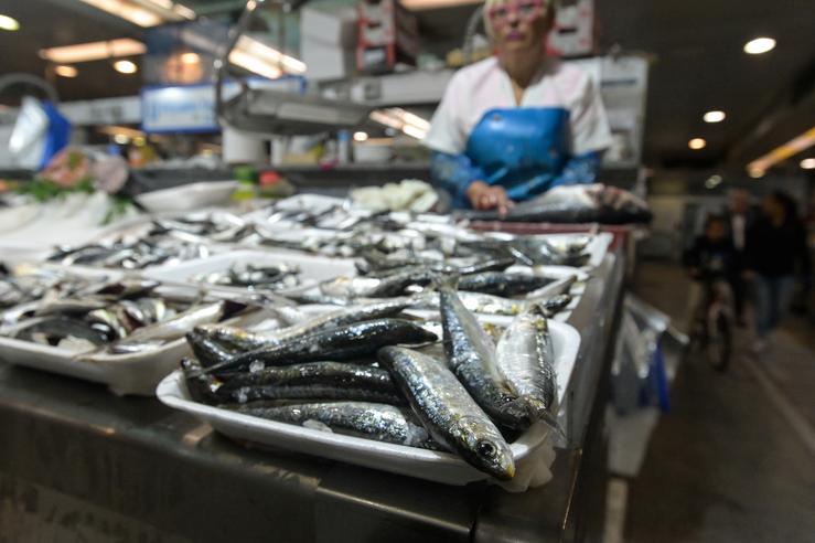 Arquivo - Sardiñas nas pescaderías da Praza de Lugo, a 22 de xuño de 2023, na Coruña, Galicia (España). O quilo de sardiña alcanzou na mañá de hoxe un prezo dun oito euros nas pescaderías da Praza de Lugo, na Coruña, o día a. M. Dylan - Europa Press - Arquivo 