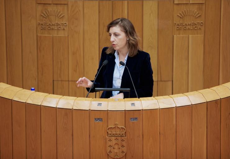 A conselleira de Medio Ambiente e Cambio Climático, Ángeles Vázquez, nunha intervención no Parlamento de Galicia.. XUNTA 