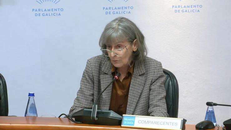 A exconselleira de Sanidade María José Rubio, que estivo no cargo entre 2005 e 2009, comparece na comisión de investigación dos contratos da Xunta.. PARLAMENTO DE GALICIA