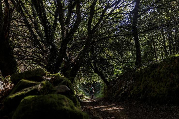 Foto gañadora do VII Concurso de Fotografías das Reservas da Biosfera da Deputación de Lugo 