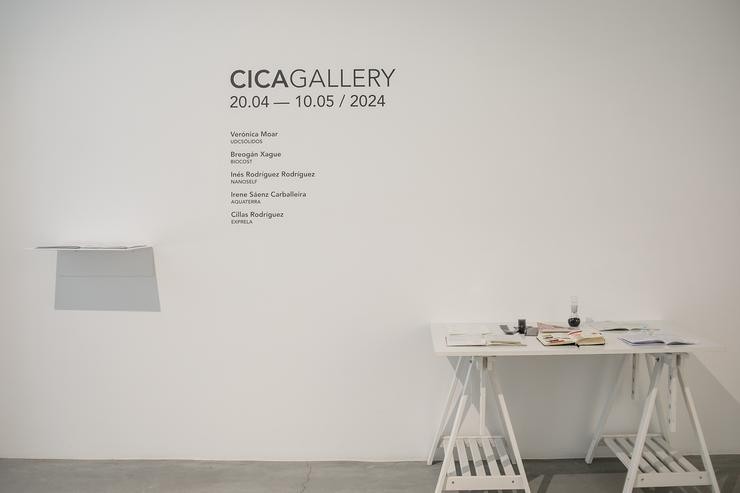 CicaGallery 