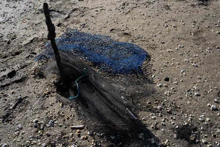 Unha rede de peixe na enseada de San Simón, Rías Baixas, a 17 de novembro de 2023, Pontevedra / Adrián Irago - Arquivo / Europa Press