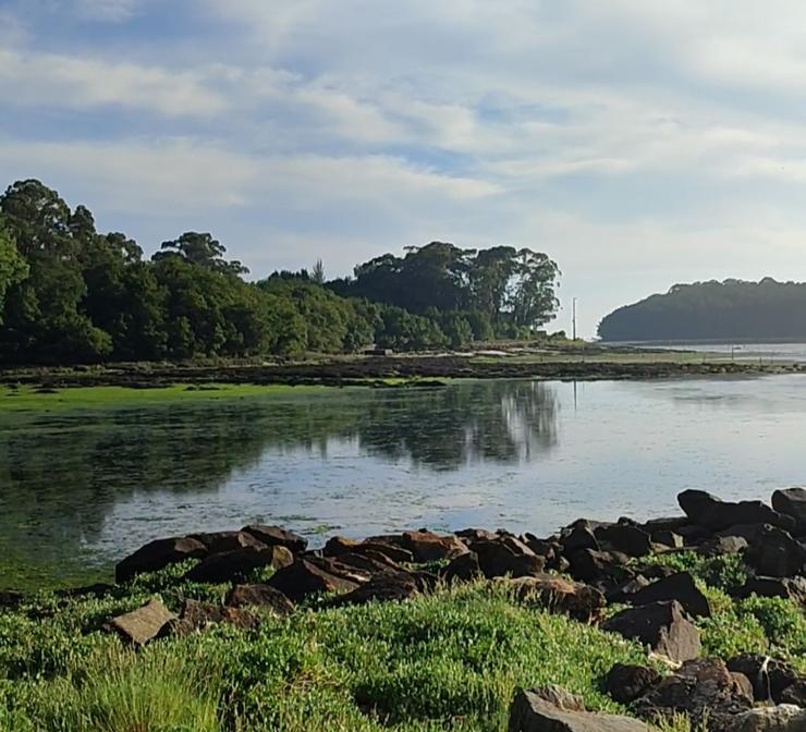 Praia do Salgueiral, na parroquia de Bamio, no concello de Vilagarcía de Arousa 