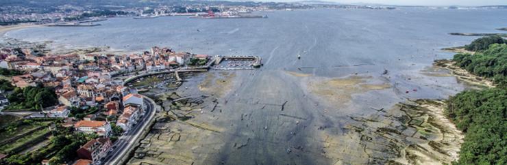 Parques de cultivo de ameixa en Carril / Parquistas de Carril