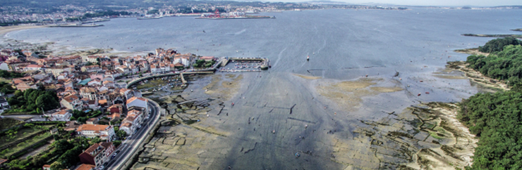 Parques de cultivo de ameixa en Carril 