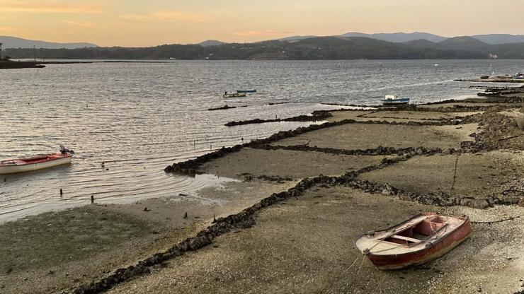 Parques de cultivo de ameixa en Carril 