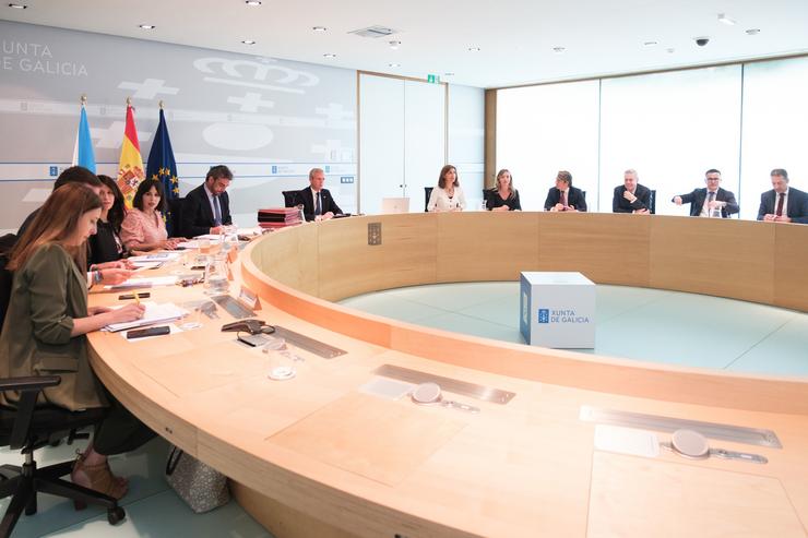 Reunión do Consello da Xunta do 1 de xullo. DAVID CABEZON / XUNTA / Europa Press