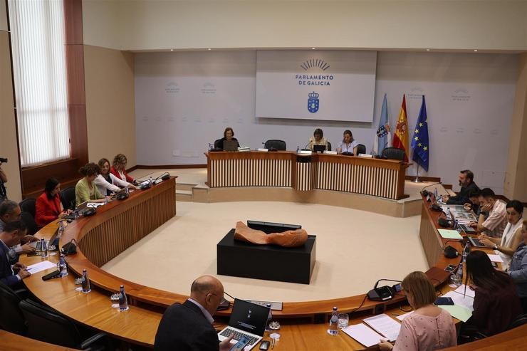 Comisión 5ª, de Sanidade, Política Social e Emprego do Parlamento galego.. PARLAMENTO DE GALICIA 
