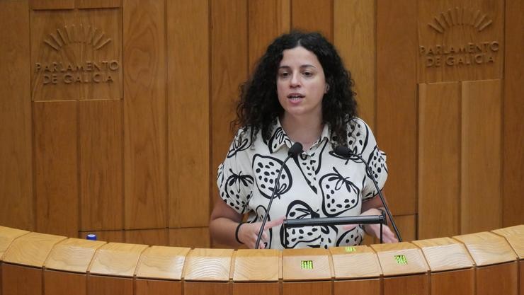 A deputada do BNG no Parlamento galego Noa Presas. BNG 