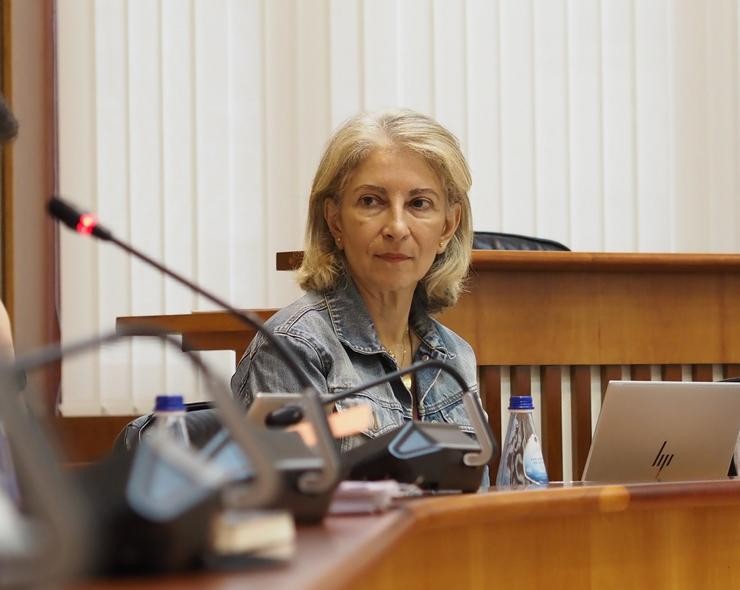 A deputada do PSdeG no Parlamento galego Silvia Longueira. PSDEG 