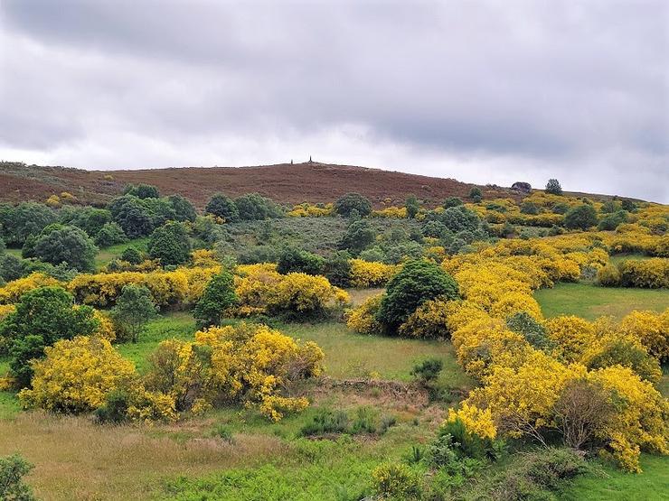 Serra da Queixa, onde a Xunta proxectou varios parques eólicos que foron paralizados polo TSXG 