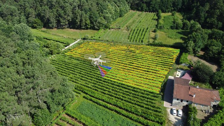 Un dron facendo unha análise multiespectral da vide 