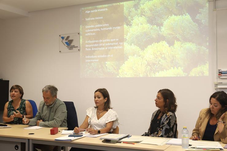 As directoras xerais de Patrimonio Natural e Desenvolvemento Pesqueiro presiden a primeira reunión do grupo de traballo sobre a alga Rugulopteryx okamurae. XUNTA 