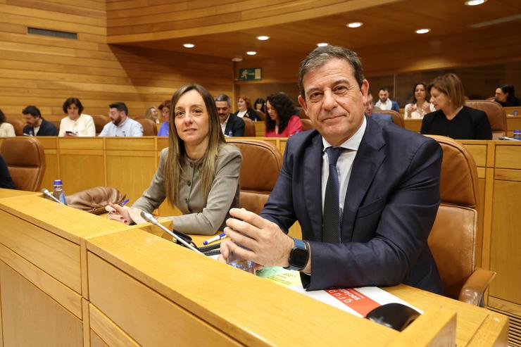 Arquivo - A deputada do PSdeG Pomba Castro e o secretario xeral do PSdeG, José Ramón Gómez Besteiro, no Parlamento de Galicia. XUNTA - Arquivo / Europa Press