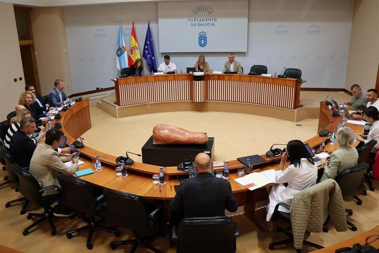 Comisión 6ª de Industria do Parlamento de Galicia. PARLAMENTO DE GALICIA 