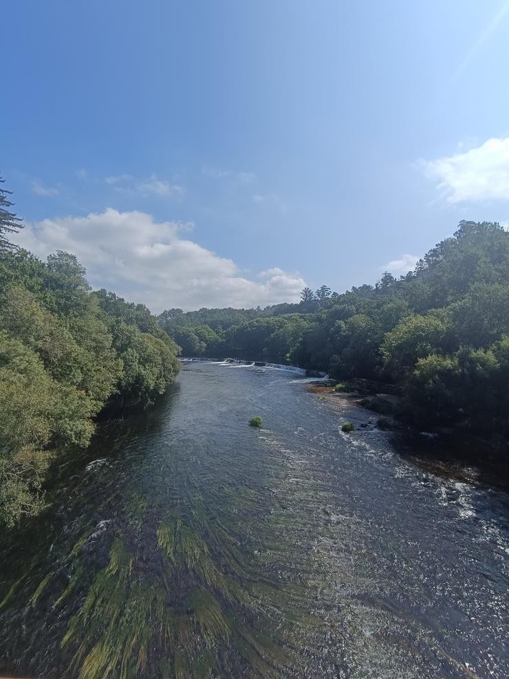 Vista dende a Pasarela Mariola na Ruta da Lamprea