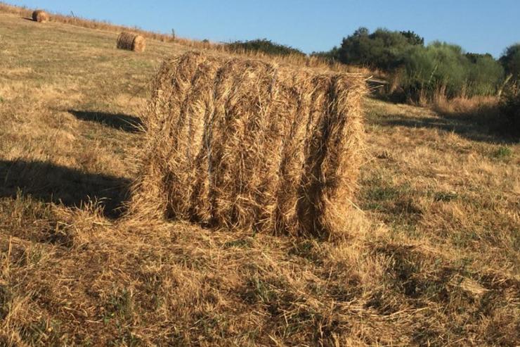 Rolo de herba, silo 