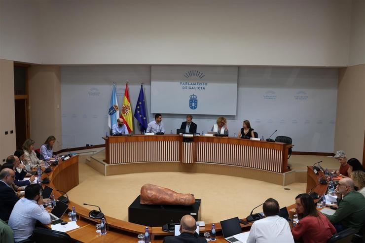 Comisión 4ª, de Educación e Cultura, do Parlamento galego.. PARLAMENTO DE GALICIA 