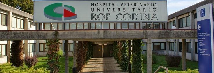 Hospital da Fundación Rof Codina 