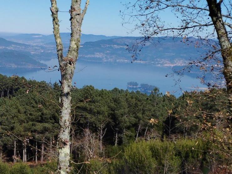 Monte Trasmañó, en Redondela / Wikiloc