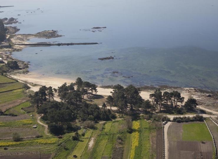 Praia do Rego do Alcalde, en Vilanova de Arousa 